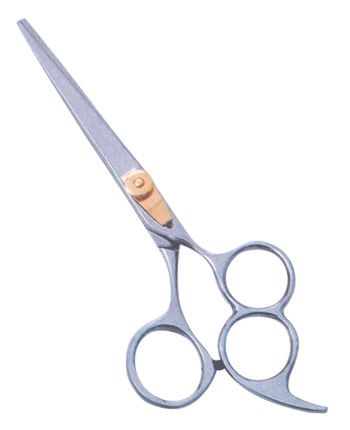 Professional Hair Cutting Scissors 